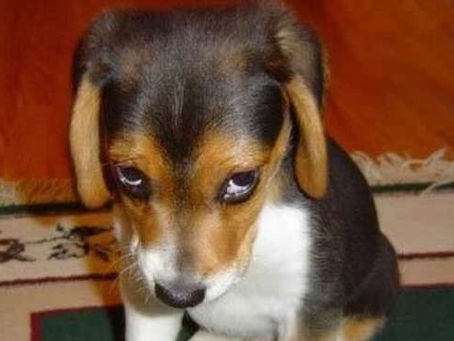 3 Hints to Help You Lose Weight