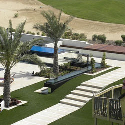 12224542_1007712735957922_1599433174_n