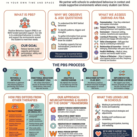 Understanding the Role of a PBS Practitioner in Schools