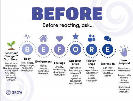 When New Behaviours Appear: Press Pause Before You Press Panic