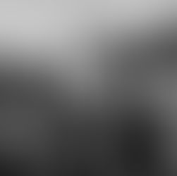 ארכיון הסרטים של הסינמטק בירושלים: פרוייקט הדיגיטזציה