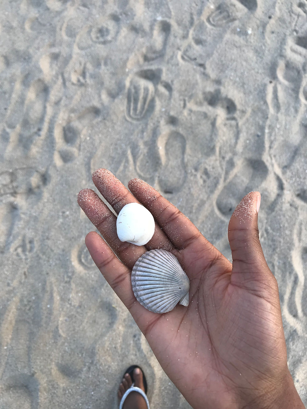 The Importance of Mindfulness in Everyday Life