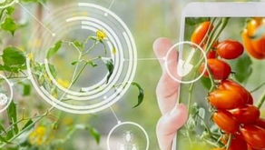 Episode 1 - Agrotech Alerts