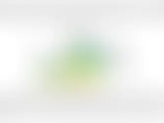 Energy Transition Across the World: A Comprehensive Look with a Focus on India