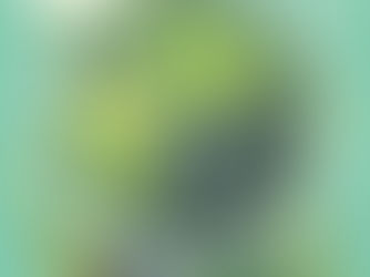 The Urgent Need for Sustainability in India