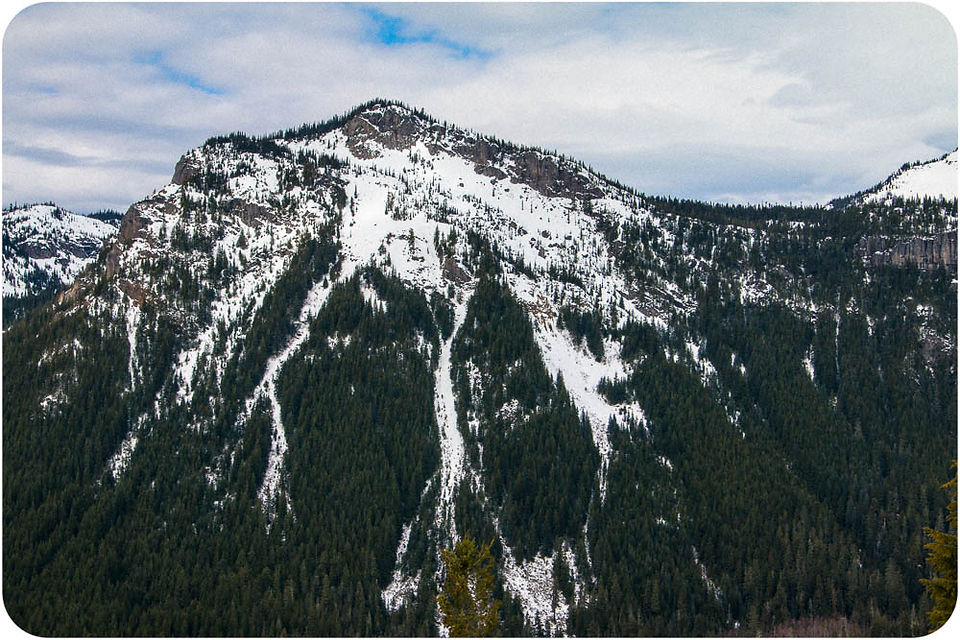 View Point