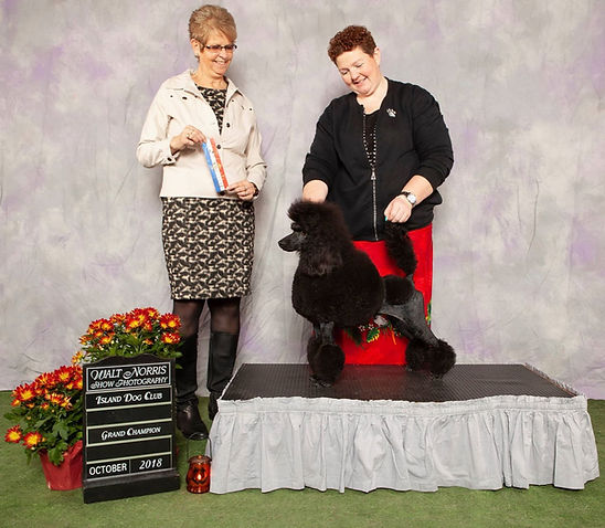 slick grand champion_edited.jpg
