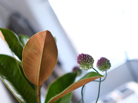 T's Labo5月お休み