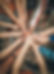 20191217_105839_edited_edited.jpg