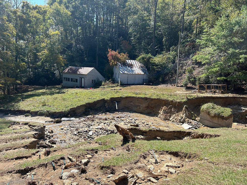 flower meadow after hurricane Helene at linwell falls joey and Scott