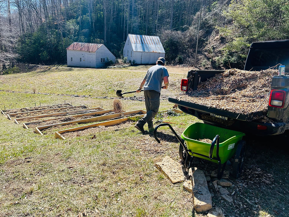 joey and Scott raised bed gardens gardening terraced
