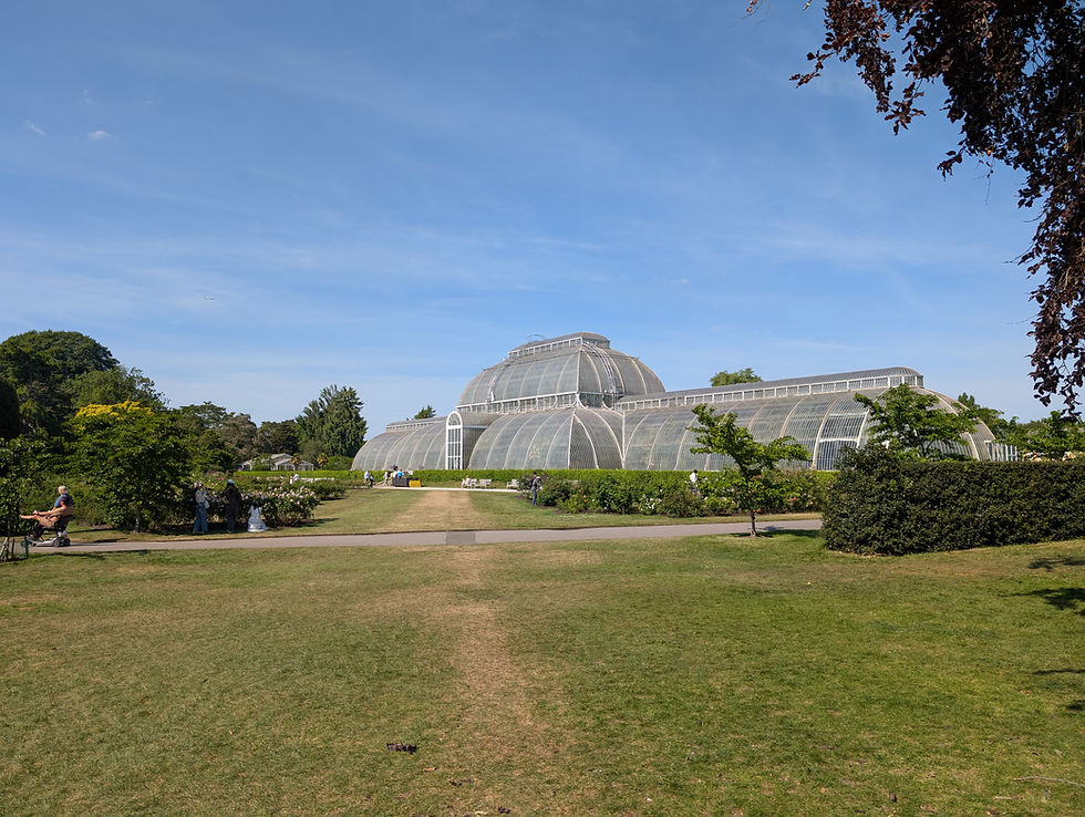 The Palm House at Kew Gardens, photographed during a real local visit