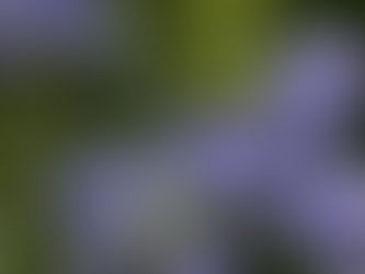 Enstone Eco — May 2026 Newsletter