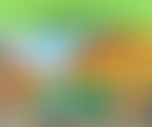 Wrocławska Gra Miejska dla całej rodziny