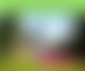 Tajemnice Parku Szczytnickiego i Hali Stulecia > 18.08.2018 > 15 zł/dziecko