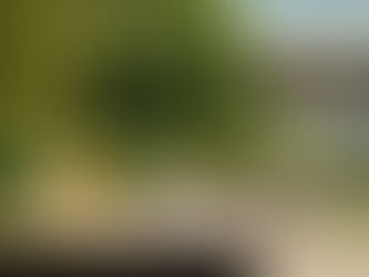 NUS Food Adventures: Bismillah Biryani & PÖONSTI, located in UTown and Kent Ridge, Singapore