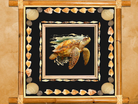 Where to Buy Shadow Boxes for Coastal Art Framing Online
