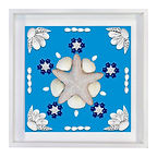 SHELL DESIGN 978 16 SB STDBOW SSF.jpg