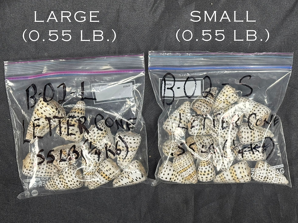 Thumbnail: Letter Cones/B-02 - 0.55 LB. (APPROX. 10 - 15 PCS) - $0.60-$0.90/PIECE