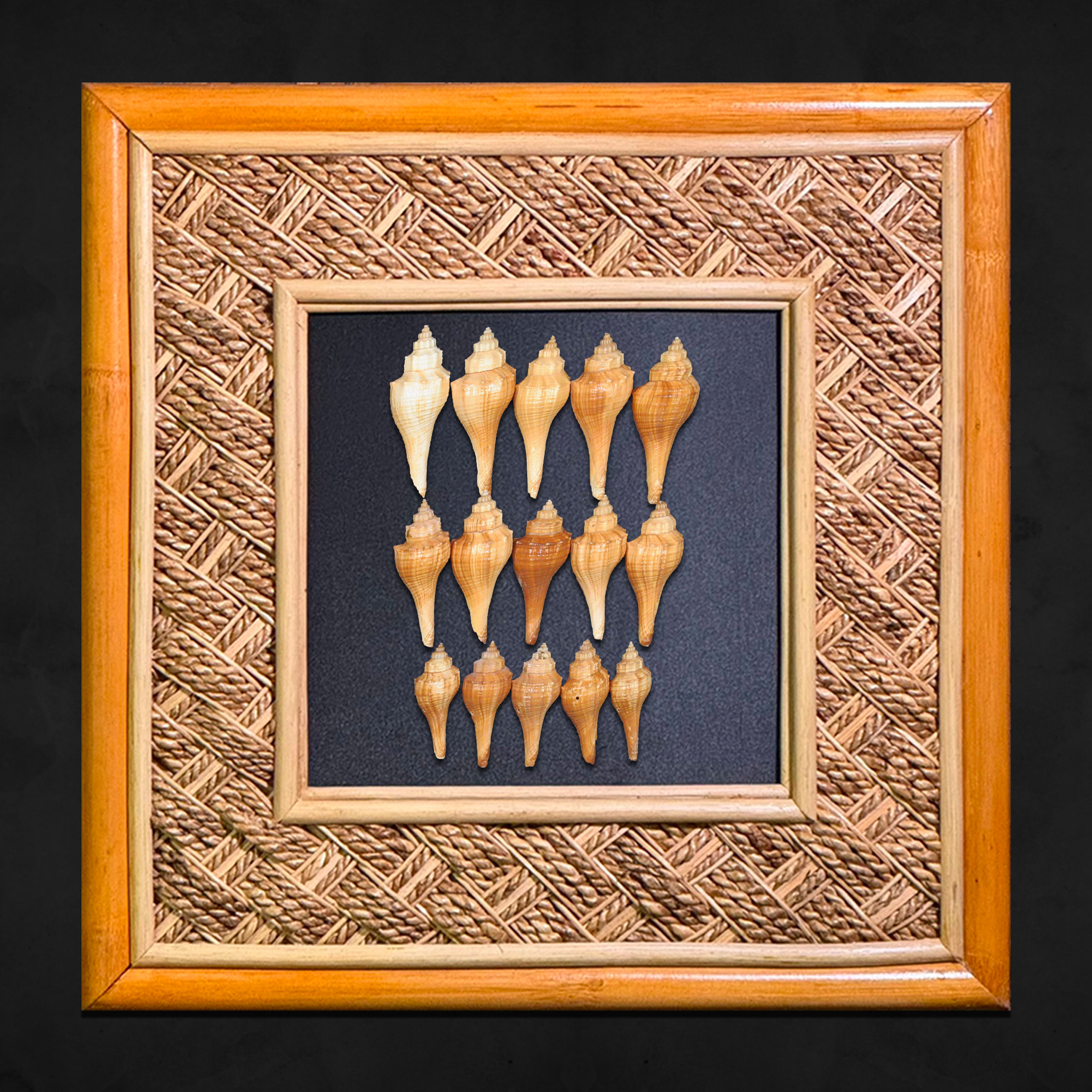 DIY SHELL KIT ON 15 MAUNA LOA FRAME (MLF-15-NAT/DIY-SD-630)