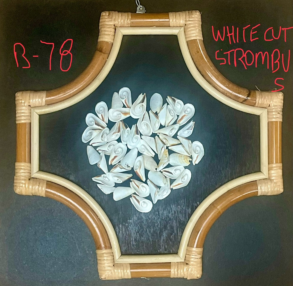 Thumbnail: Painted White Cut Strombus Shells/B78 - 1.1 LB. (APPROX. 100 PCS) - $0.04/PIECE