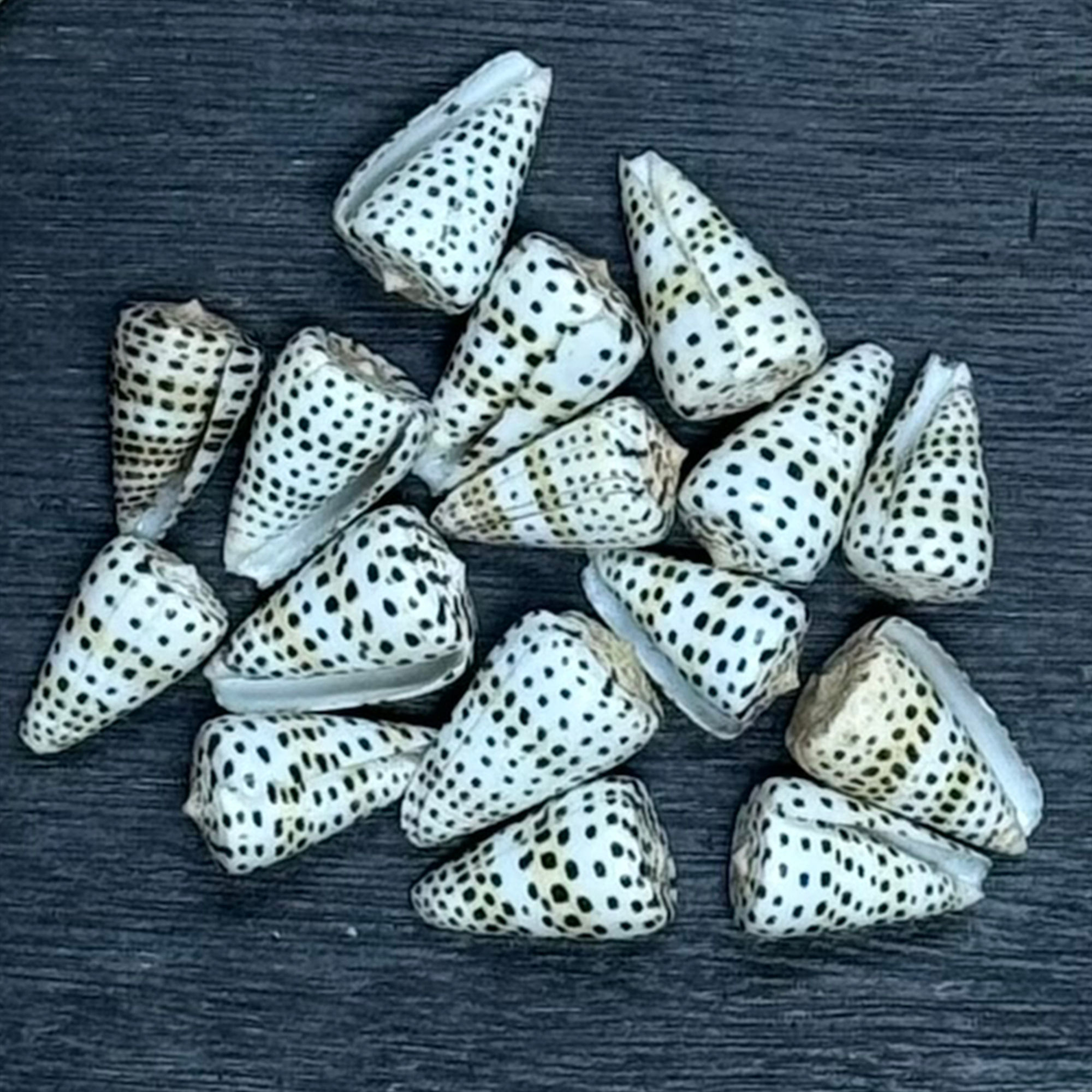 Letter Cones/B-02 - 0.55 LB. (APPROX. 10 - 15 PCS) - $0.60-$0.90/PIECE