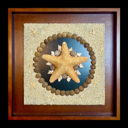 Finished Art - Shell Design in 20