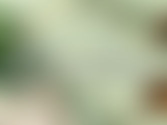 St. Patrick's Day English Lesson text over a green background with shamrocks, rainbow, book, coffee, and coins, creating a festive vibe.