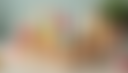 Top 5 Melissa and Doug Toys That Make Perfect Gifts for Kids Aged 2 to 6