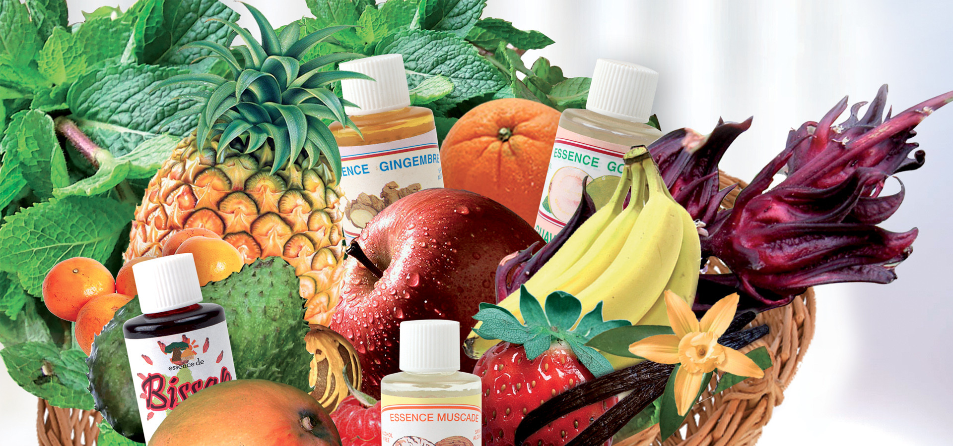 AROME3 LIONS  EXOTIQUES  LE SACHET