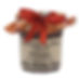 Chestnut Jam