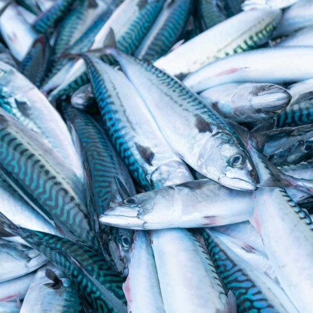 MAQUEREAU LISSE LE SACHET