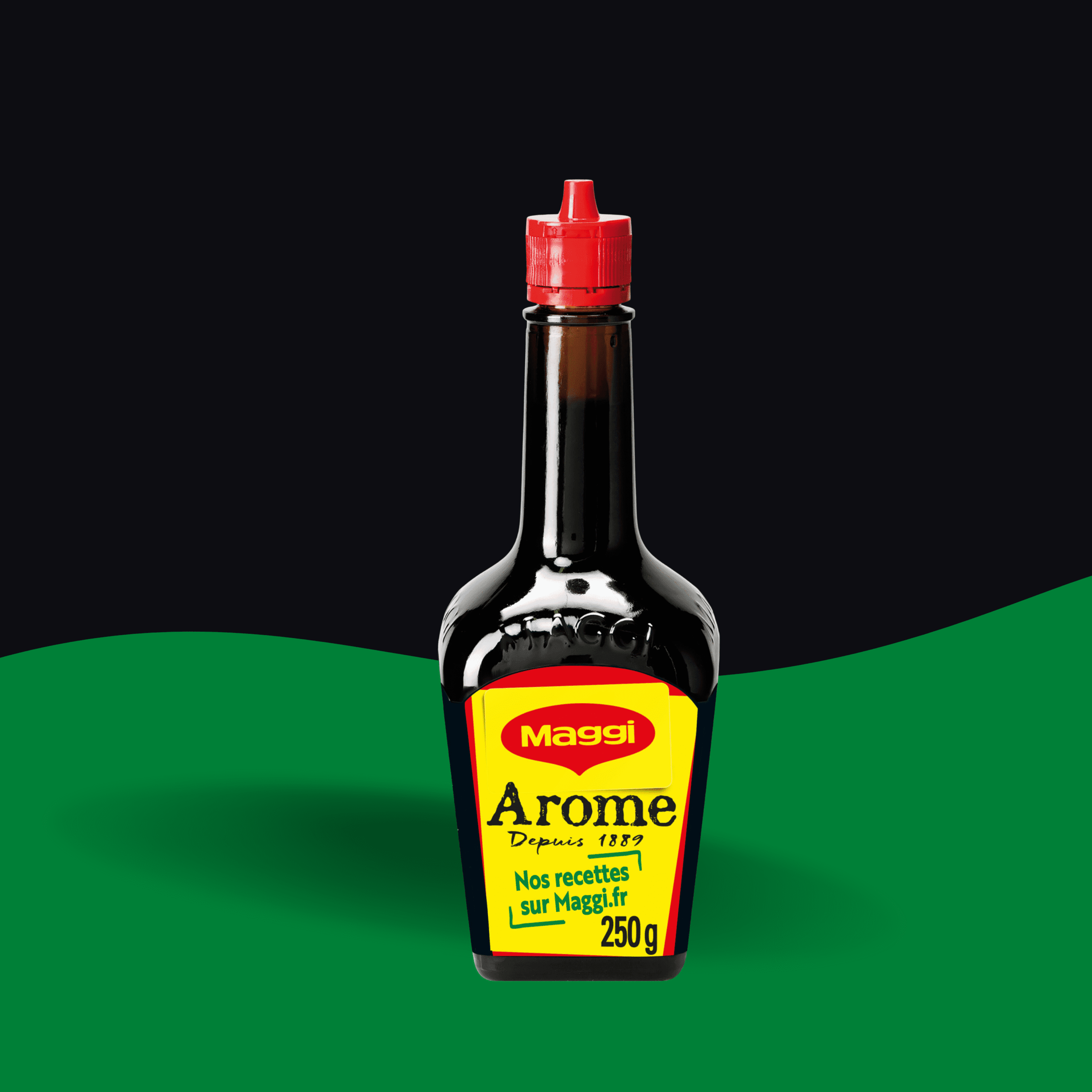 MAGGI AROME 200G/160L