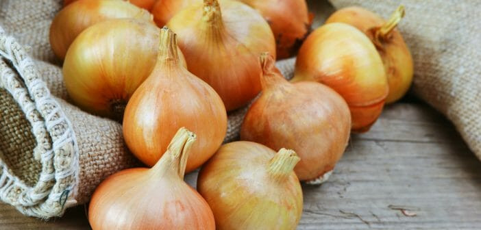 OIGNONS JAUNES / LE KG