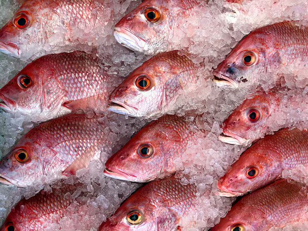 Darne de vivaneau le sachet