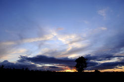 _DSC7980.JPG