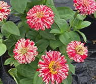 Now we’ve time to catch our breath…