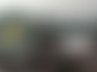 BATALLA DE CÚCUTA: IZADA DE BANDERA