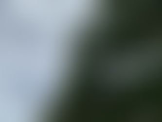 UN SALUDO PARA TODOS