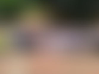 DÍA DEL DOCENTE 💙