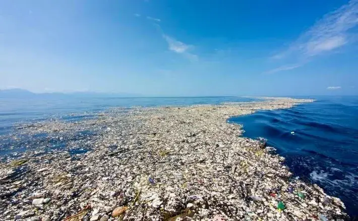 Hawaii Pacific University’s Marine Waste Battle