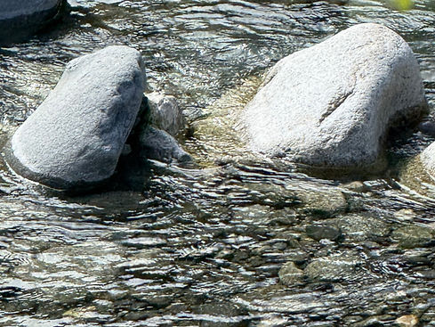 IMG_2648_edited.jpg