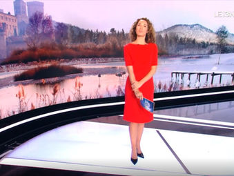 TOUTENGROS SUR TF1 AU JT DE 13H