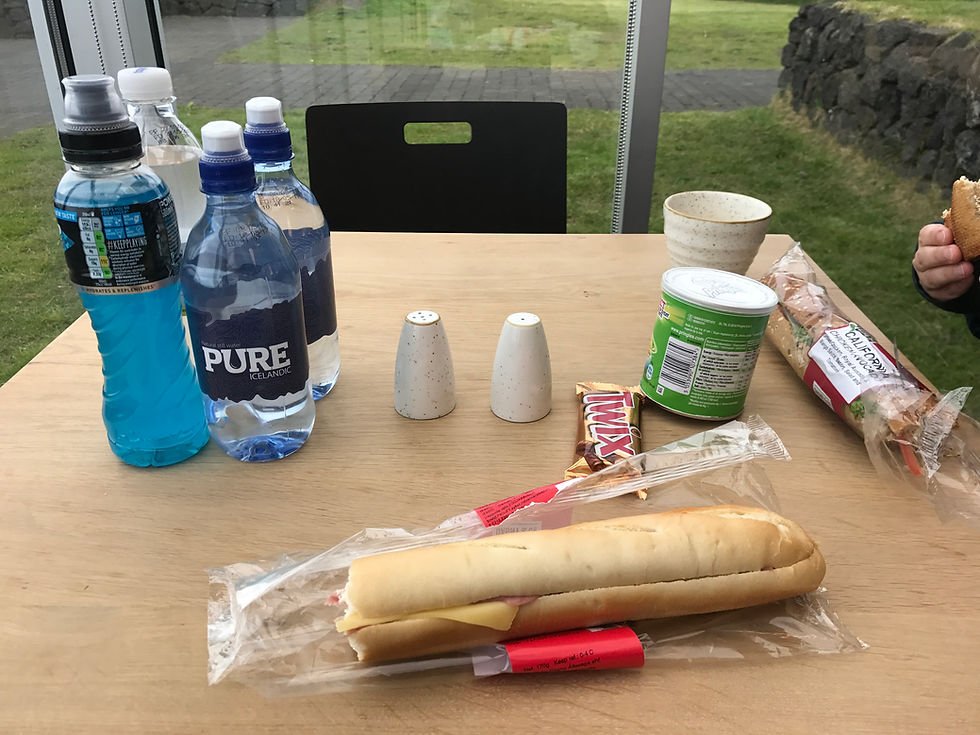What $44USD gets you in Iceland haha