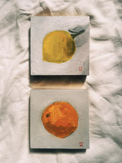 Kitchen Orange and Lemon Diptych