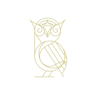 CT_Owl_edited.png