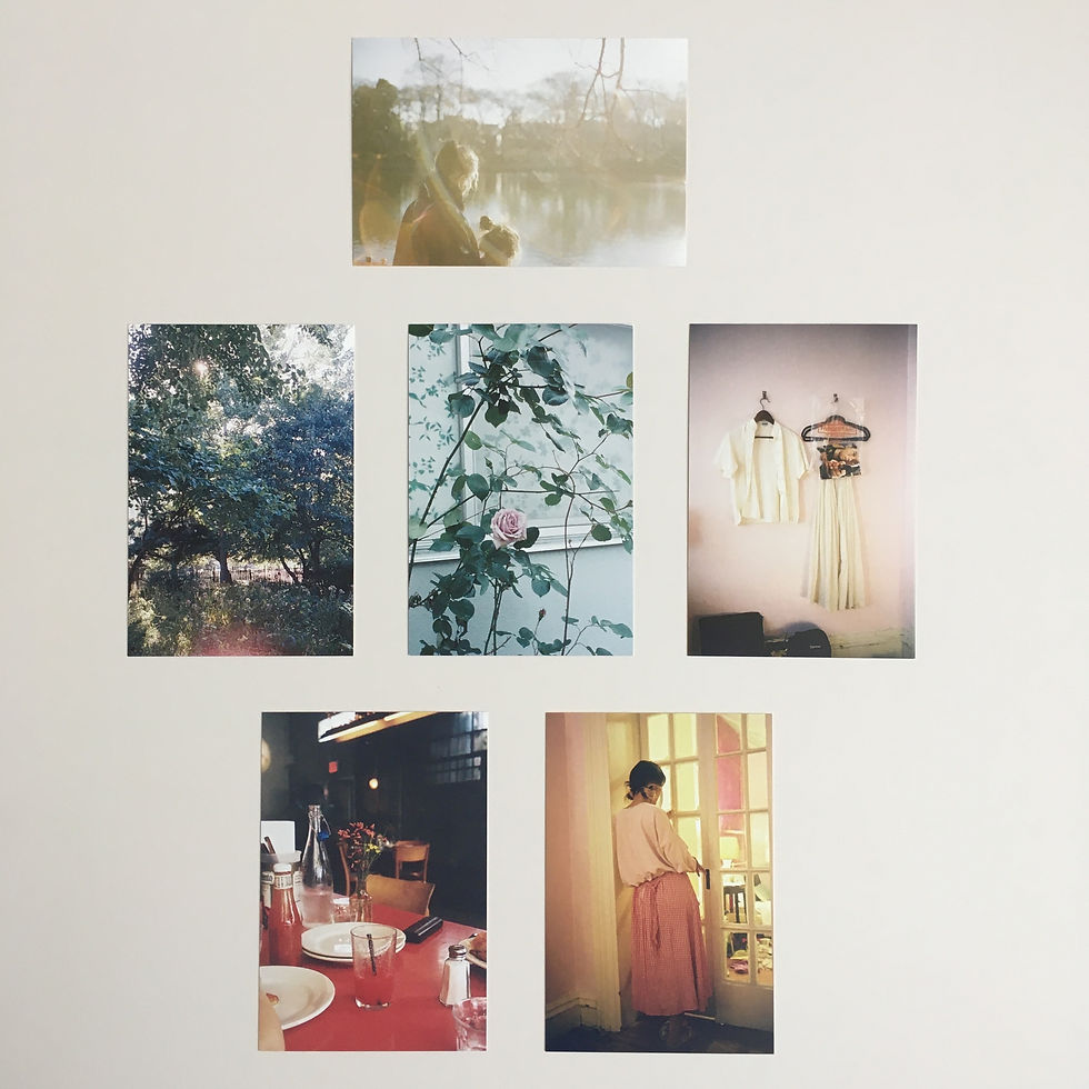 サムネイル： ポストカードセット｜ばら