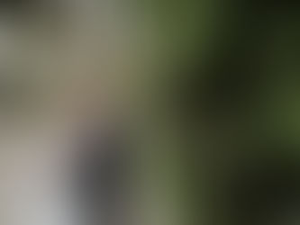 matrimonio in liguria