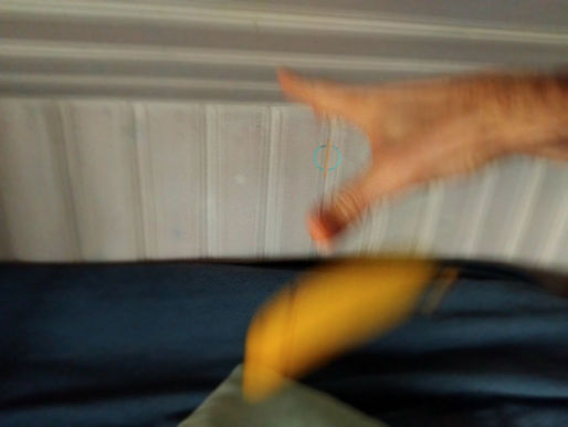 Letting Go of the Banana– The Way of Phi in Practice –