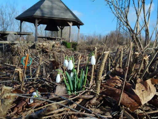 Cycles - The Way of Phi in Practice -